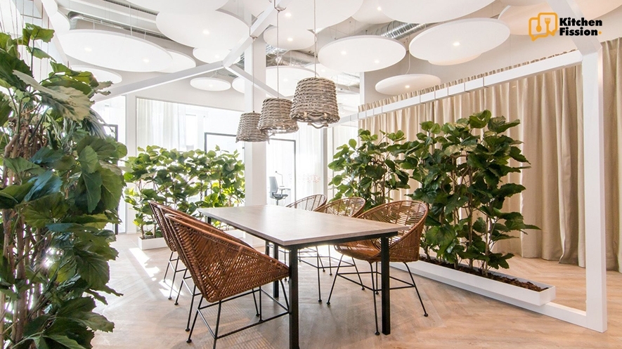 Biophilic Design for Calm and Connection