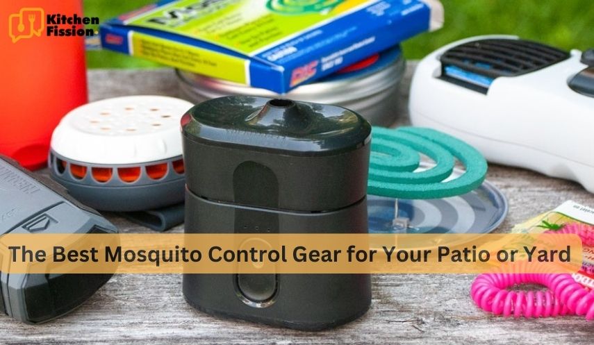 The Best Mosquito Control Gear for Your Patio or Yard